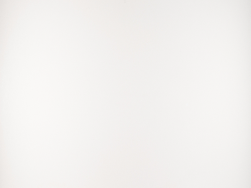 Pure White / Arctic White